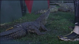 Khatron Ke Khiladi - Season 13 - 29th July 23